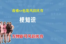 我看XX也是风韵犹存是什么梗？万物皆可风韵犹存