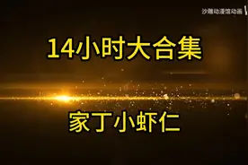 一口气看完【虾仁极品家丁】 三哥来了 山外青山楼外楼 直把杭州视频封面