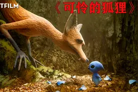 一只善良的狐狸收养了一只蓝色的小鸟，结局真是太爱了！！视频封面