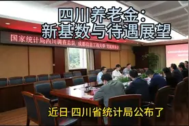 企退人员养老金：四川数据概览视频封面