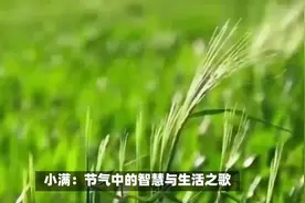 小满：这里的“满”，指的是雨水之盈，象征着大自然的丰沛与生机