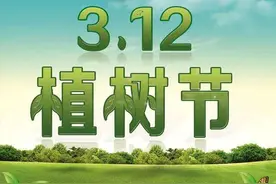 3月12日，植树节图片