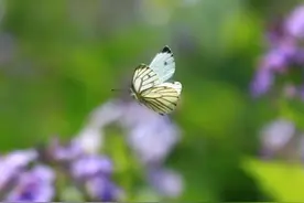 56岁阿姨坦言：沉默婚姻里的冷漠令人窒息，解脱后感觉真心的好图片