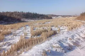 82年改革开放联产承包分田单干，我们农民是个什么态度图片