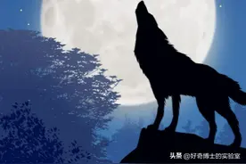 为什么“真牛”是夸人的？“真狗”却是骂人的？图片