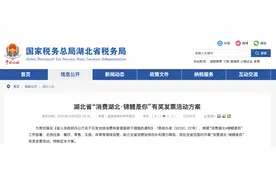 最高10万元！“有奖发票”等您参与图片