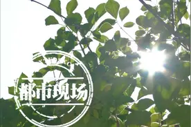 夏天眼睛出现红痒痛，千万别忽视！图片