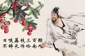 荔枝品种大全图片