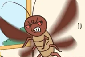 九成人不知“蟑螂”天敌是啥：教你屋里放个它，蟑螂“集体消散”图片