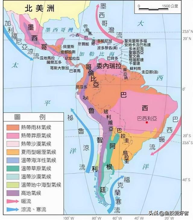 北海花胶种类图片 2026年北海花胶功效作用