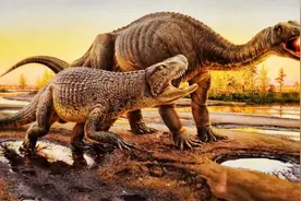 鳄鱼家族真倒霉：努力了两亿年，每次在马上称霸时被地球针对图片