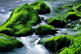 俗语：“五月不起房，六月不搬家”，这句话啥意思？五月有啥说法图片