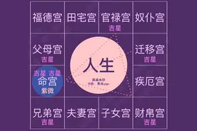 「紫微斗数3」紫微星基本概念图片