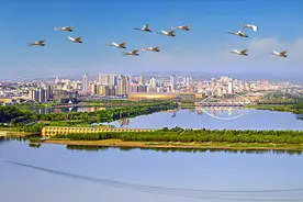 虢国故都、崤函大地、天鹅之城，这样的三门峡，您不想来看看吗？图片