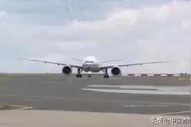 旅法大熊猫“圆梦”抵达四川，临行前获法国总统夫人送行图片