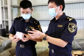 海关公务员大幅扩招，学历门槛低且待遇丰厚，对往届生也很友好图片