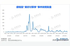 碧桂园“3亿冠名元宵晚会”引发员工集体讨薪事件舆情复盘图片