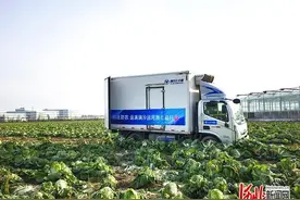 科技向实！运满满冷运赋能农产品运输图片