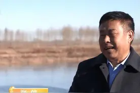 黑龙江大爷养会飞的鹅，被大雁拐跑几千只，半年后又飞回上万只图片