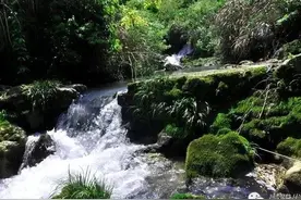 游崇阳金沙板坑村图片