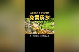 无门票游玩泰山北麓小众秘境药乡，漫步天然氧吧，遛娃跑山两不误#泉城自驾 #济南 #旅行推荐官 