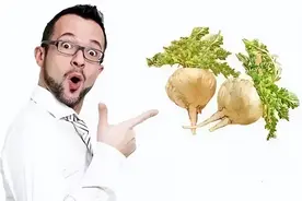 【网络谣言粉碎机】玛卡能够“滋阴补阳”，堪称神药？图片