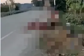 广东一大货车与载客三轮相撞，致多人伤亡图片