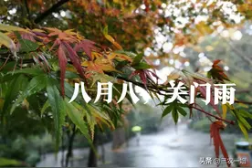 天气预报：今日八月八“关门雨”啥意思？下雨有啥预兆？农谚咋说图片