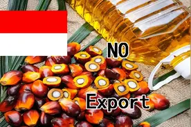 印度尼西亚禁止出口棕榈油，对我国影响几何？图片