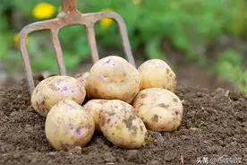 13岁女孩体内抽出2000毫升乳白色血：平时暴饮暴食 爱吃零食图片