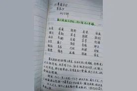 《草房子》读书笔记摘抄图片