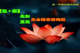 《生如夏花——生命因你而绚烂》图片