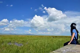 沉迷手机，伤害的只是眼睛吗？不，五脏六腑都受到了伤害图片