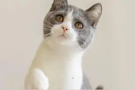 防疫期间，西安水电费怎样缴？这份线上缴费指南请查收图片