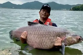 “天元邓刚”钓鱼圈粉3200万，体育视频网红怎样“红”？图片