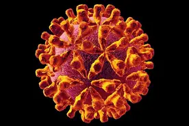 警惕艾（HIV)的难兄难弟 — 衣原体感染图片