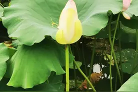 成为失信人黑名单老赖的人，大部分都是由于投资失败亏损导致图片