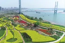 非凡十年丨荆州有6座长江大桥横跨南北，你走过哪几座？图片