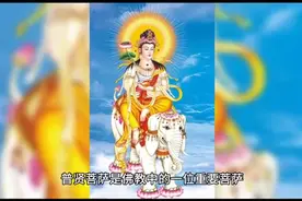 四大菩萨之一 —普贤菩萨图片