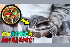 鲶鱼真的很脏吗，为啥中国人很少吃它？鲶鱼的名声是如何臭的？图片