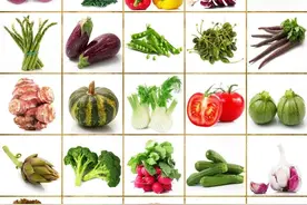 家庭常见蔬菜中英文图片