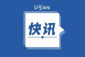 广东湛江市坡头区开展全员核酸检测图片
