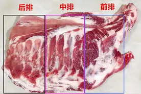买排骨，要分清“前排”和“后排”，哪的脆骨多？哪肉多？差别大图片