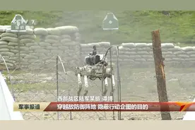 印度大军冲上战场，先看到的不是解放军，机器狗和无人机饱和打击图片