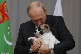 2017年，土耳其总统送普京小狗，普京赶紧双手抱过来亲吻它的头图片