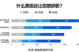 我，22届，已离职图片