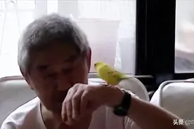 金门战俘幸存者，1987年首次回大陆探亲，他们在台湾过得怎样图片