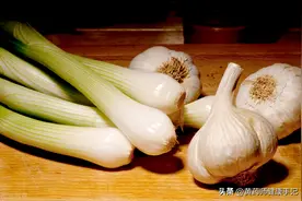 它叫薤白，也叫小蒜，或者藠头，是味用于心脏病、胸痹心痛的中药图片