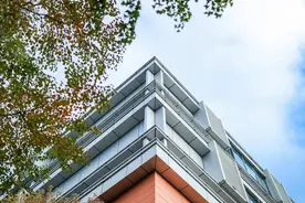 平和VS世外，对比了这两所老牌双语学校后，我建议你这么选图片