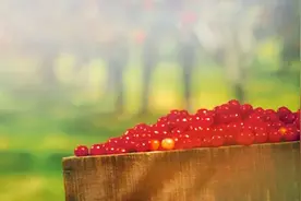 汤臣倍健，如何“倍健”？图片